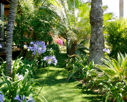 jardin en pelouse synthétique