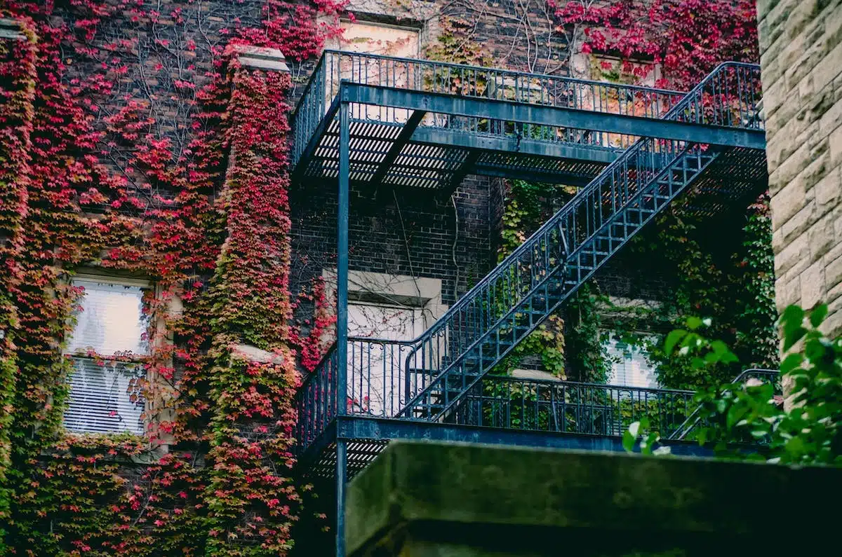 jardinage urbain