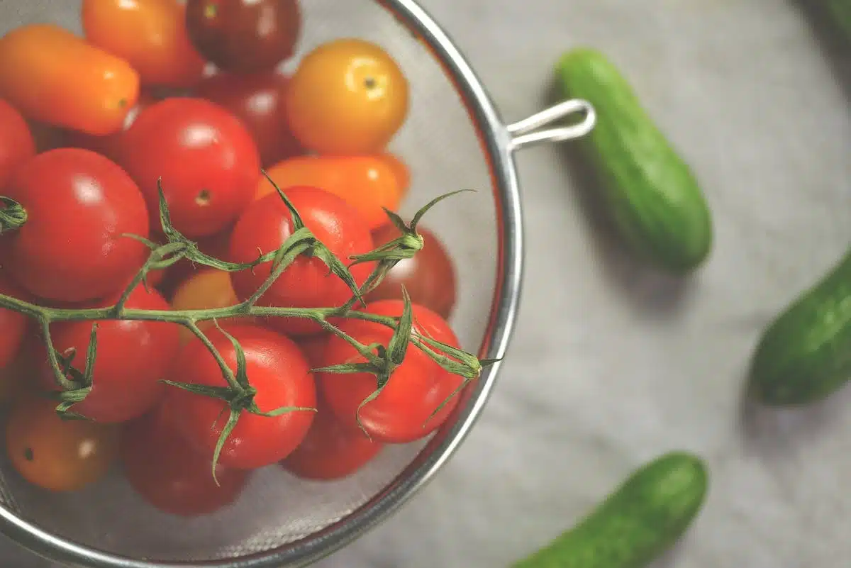 tomates variétés