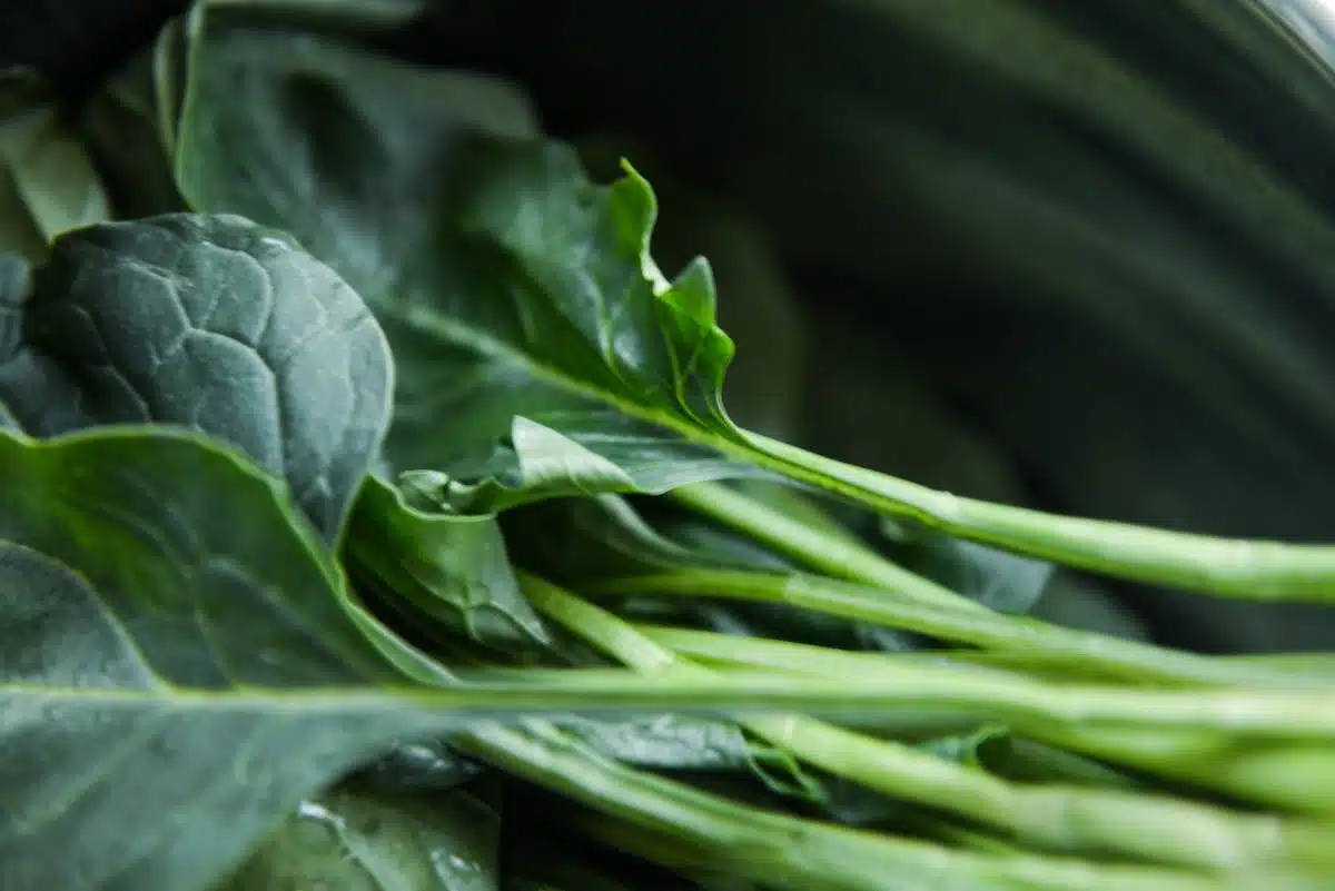 légumes originaux