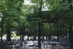 green trees and brown wooden bench