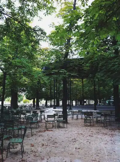 green trees and brown wooden bench