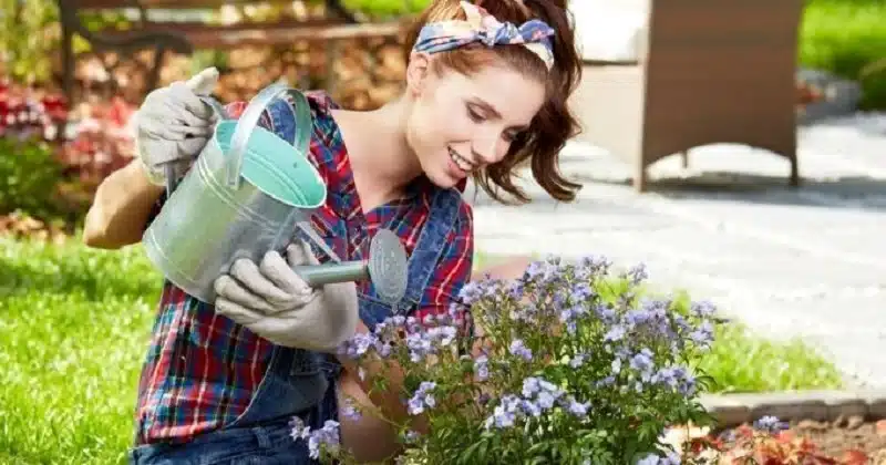 Bien entretenir son jardin avant l'été