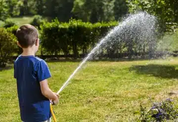 Comment arroser son gazon nouvellement semé pour une pelouse verdoyante ?