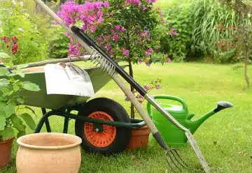 Les outils indispensables pour entretenir votre jardin