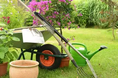 Les outils indispensables pour entretenir votre jardin