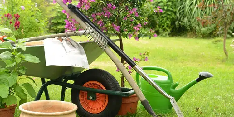 Les outils indispensables pour entretenir votre jardin