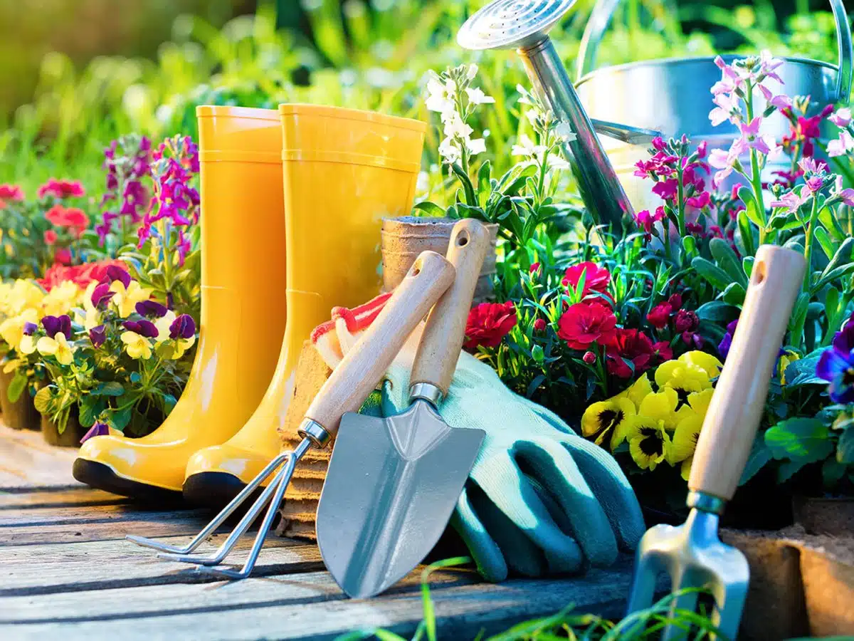 Les outils indispensables pour entretenir votre jardin