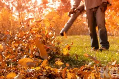 aspirateur-souffleur de feuilles