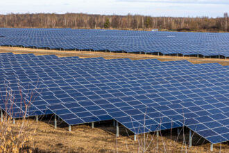 Champ photovoltaïque : ce qu'il faut savoir avant de se lancer