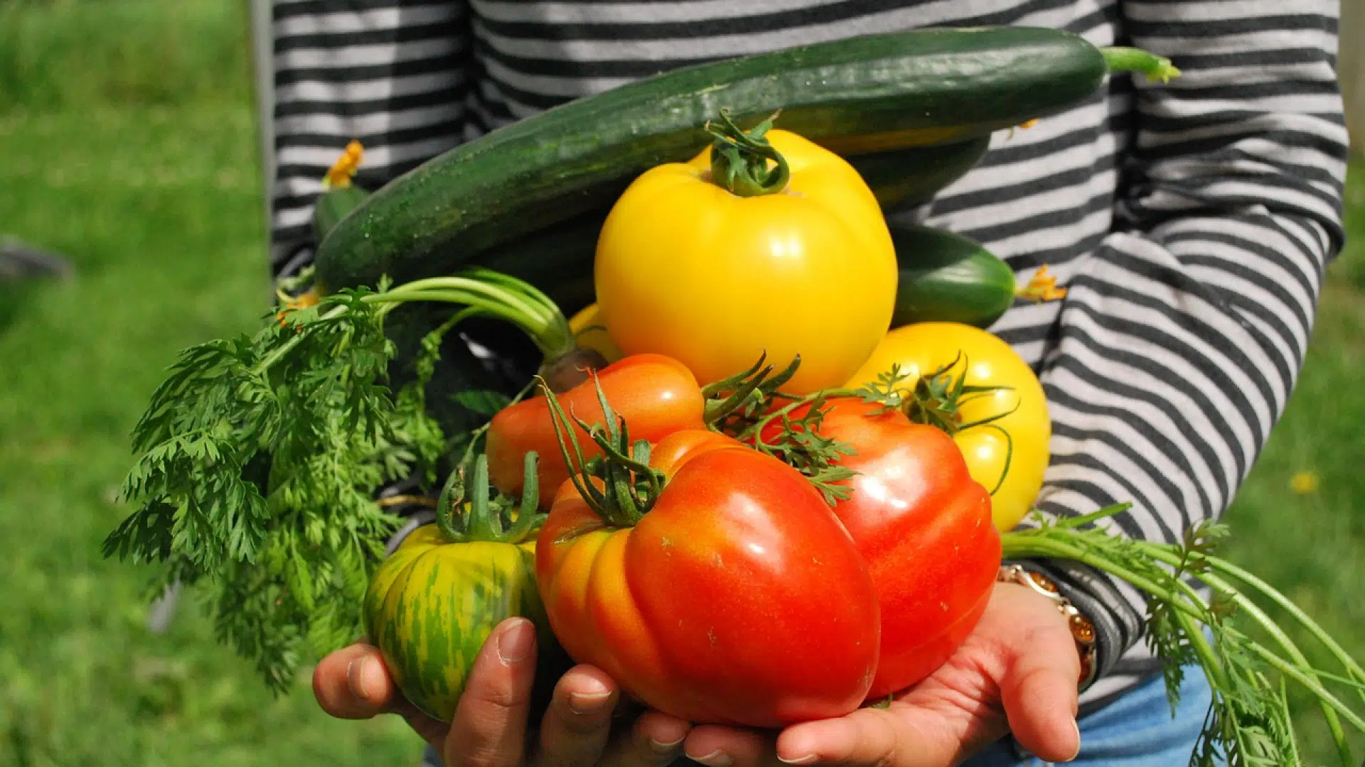 Comment bien faire son potager ?