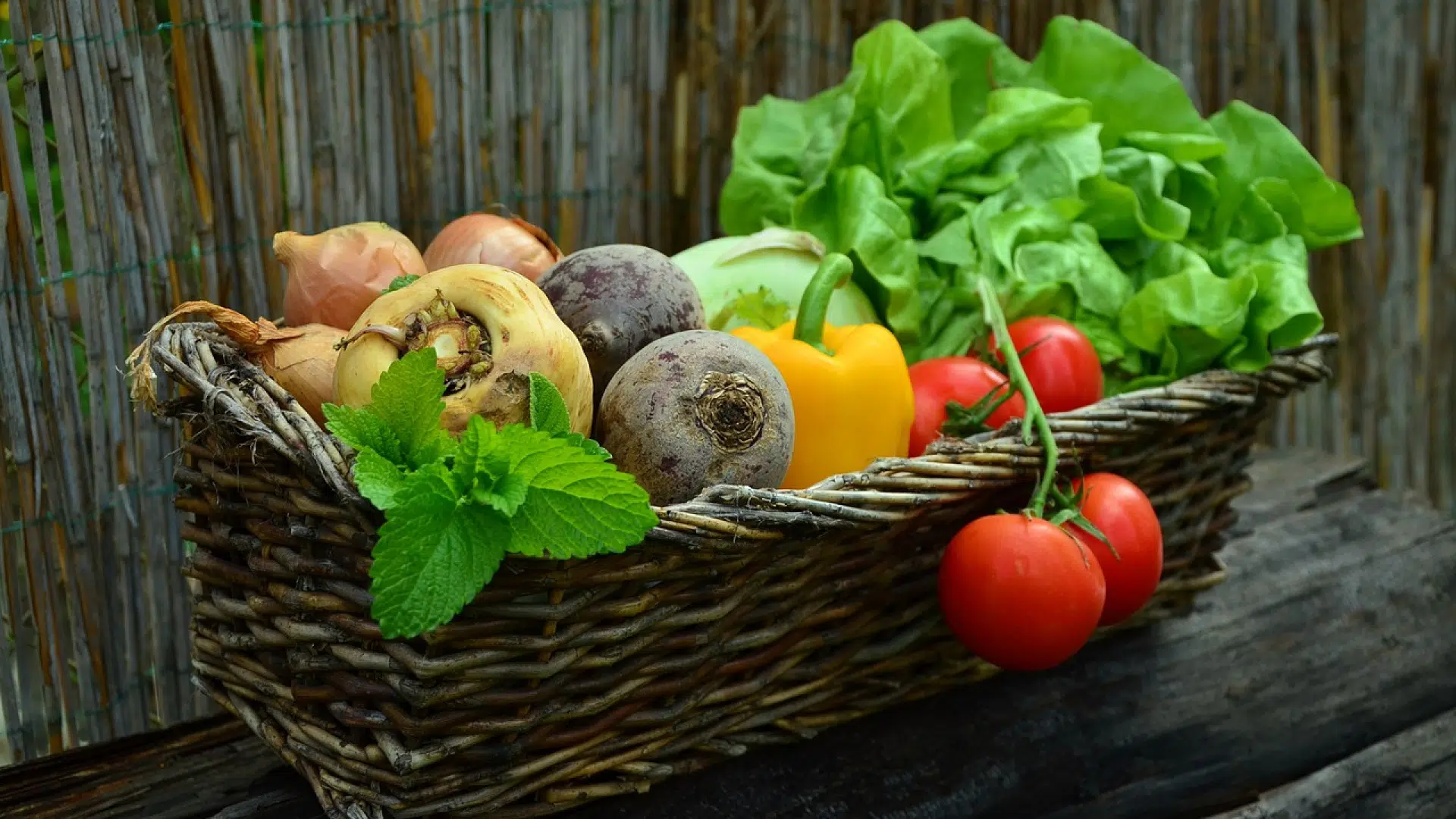 Comment transporter vos légumes depuis le potager ?