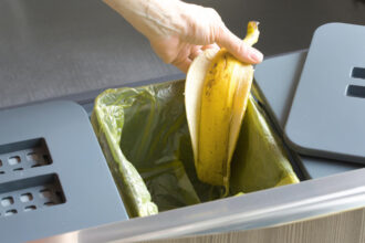 Déchets verts et biodéchets : comment les valoriser du jardin à la cuisine ?