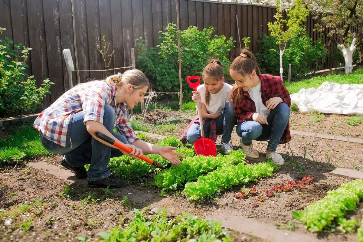 entretenir son jardin avant l'été