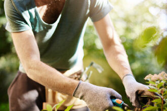 Faire appel à un jardinier professionnel : tarifs, crédit d'impôt et conseils pratiques