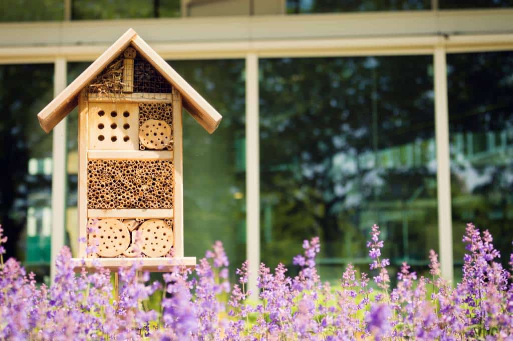 hôtel à insectes jardin