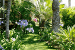 jardin en pelouse synthétique