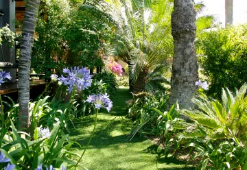 jardin en pelouse synthétique