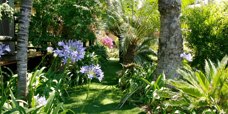 jardin en pelouse synthétique