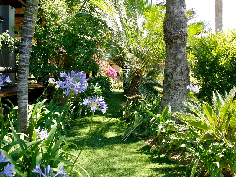 jardin en pelouse synthétique