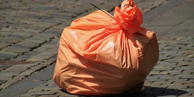 Pourquoi consulter des blogs pour passer au zéro déchet ?