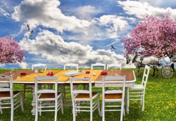 Préparez votre soirée dans votre jardin et choisissez des déguisements !