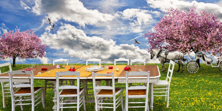 Préparez votre soirée dans votre jardin et choisissez des déguisements !