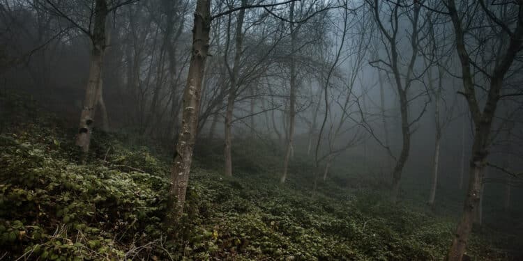 Un Escape Game en extérieur organisé chez vous !